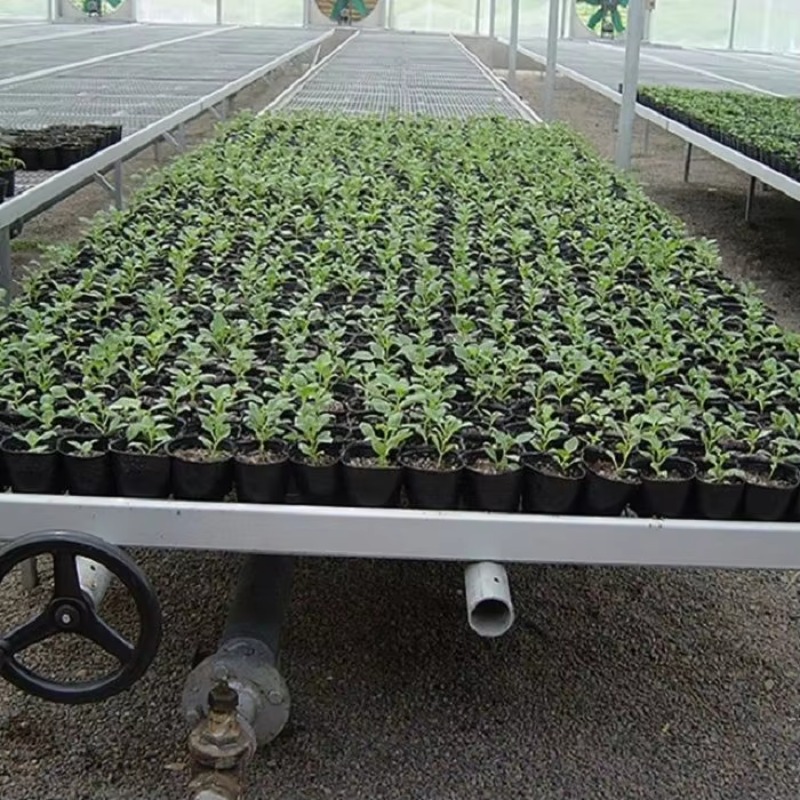 Flood Tray Table - Movable Propagation Flood and Drain Table