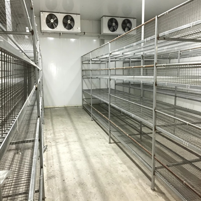 Hydroponic Container Farm with - огляд і ціна Urban Farming Project